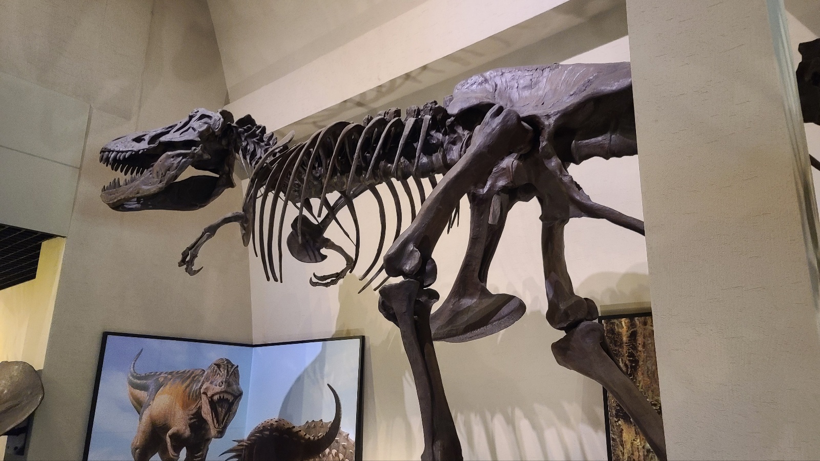 고성 공룡박물관