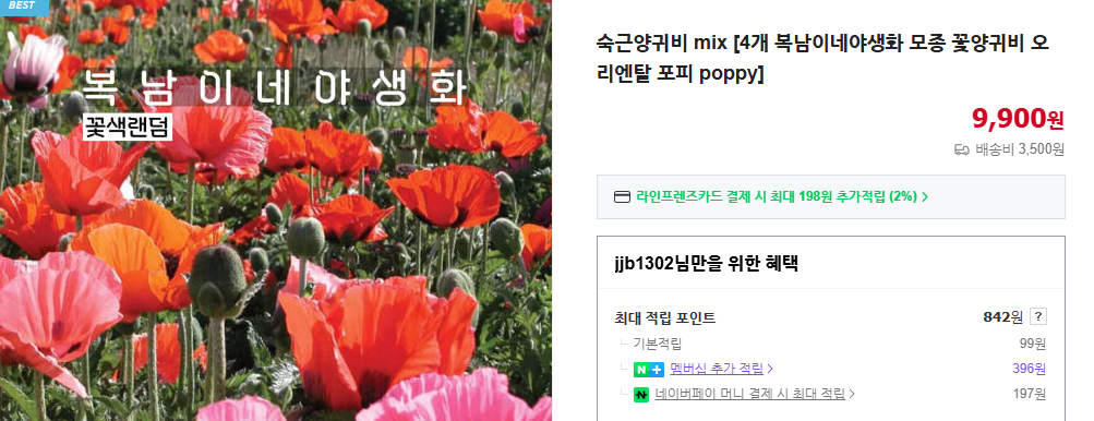 양귀비 술 3가지 효능 및 꽃양귀비 구분법 (+ 파종시기 효능 축제)