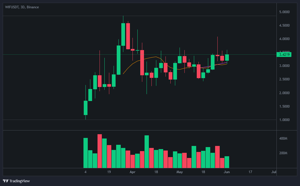 도그위프햇(Dogwifhat) 코인