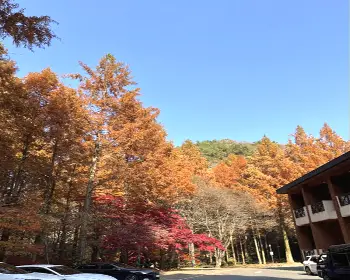 장태산 자연휴양림 예약_32