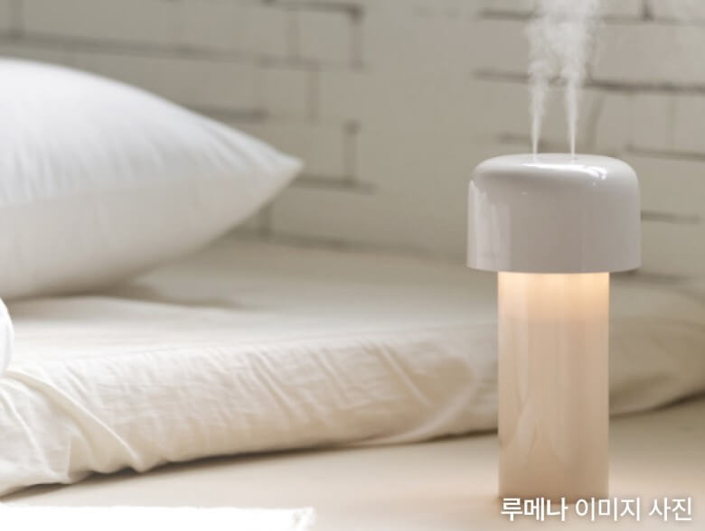 루메나 이미지사진