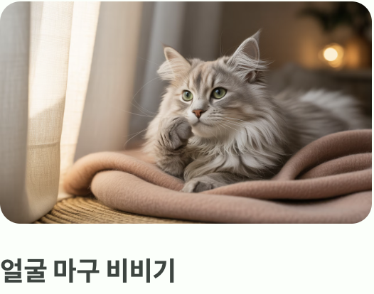 우리 냥이의 행복한 반응들