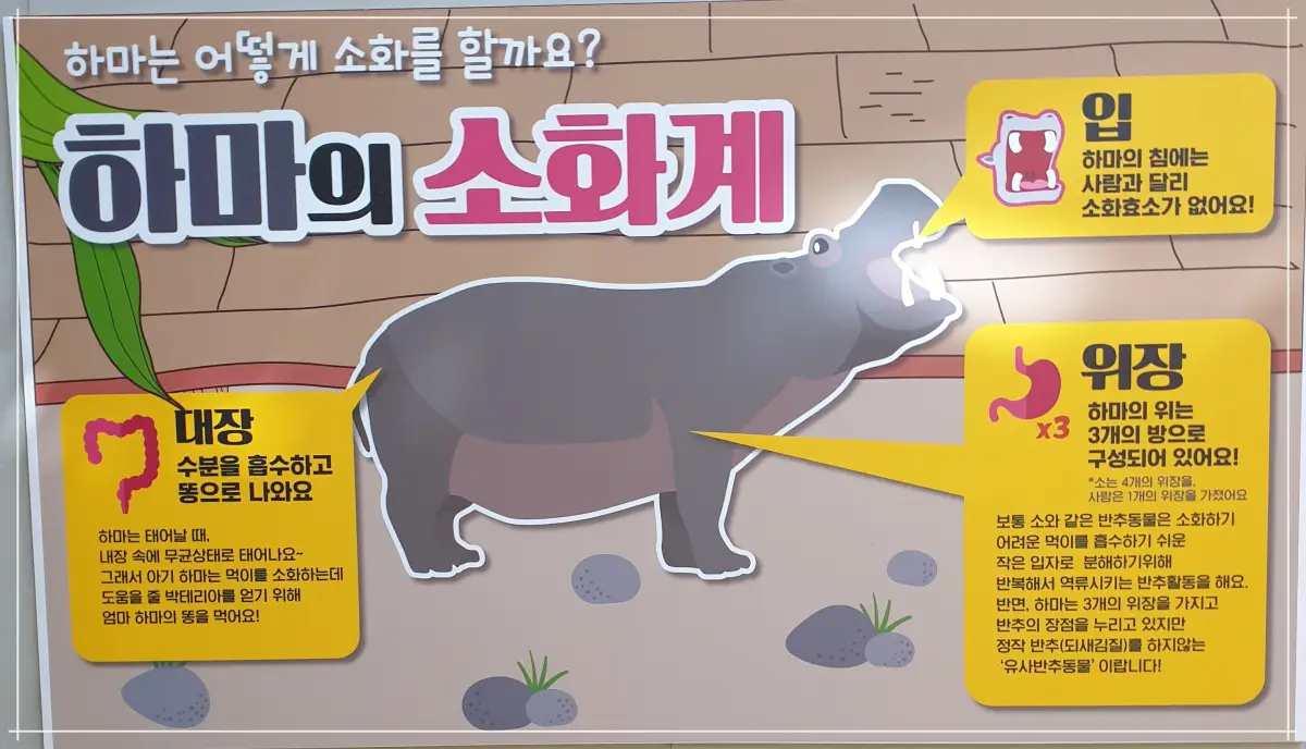 하식이-소화계-설명