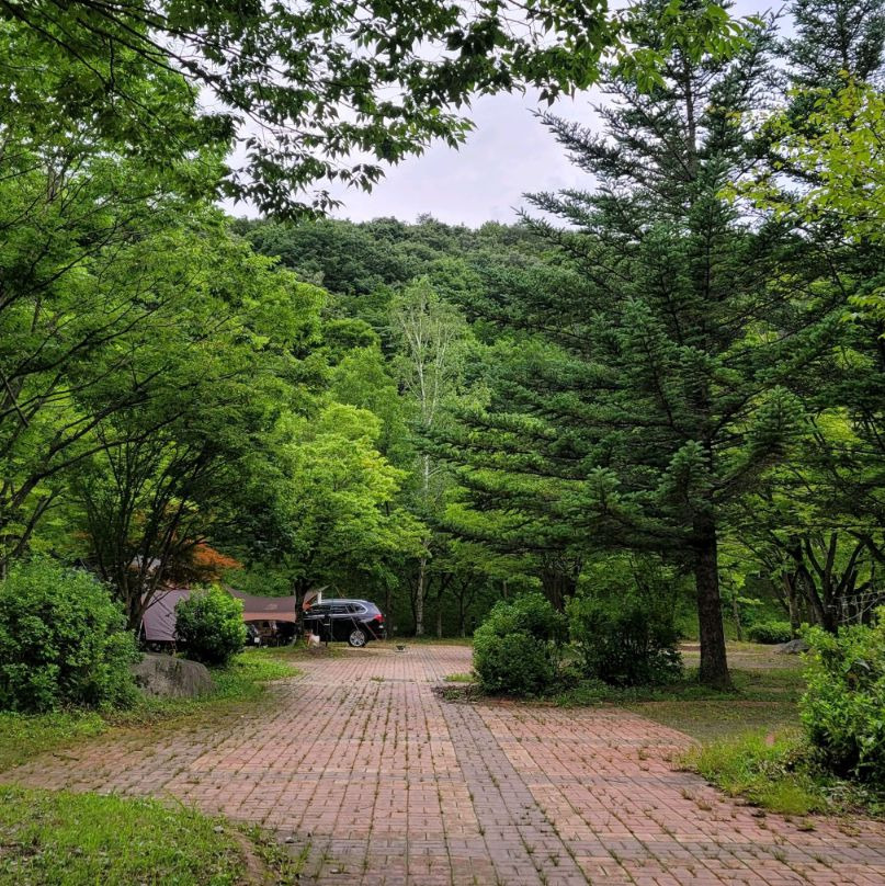 국립덕유산자연휴양림