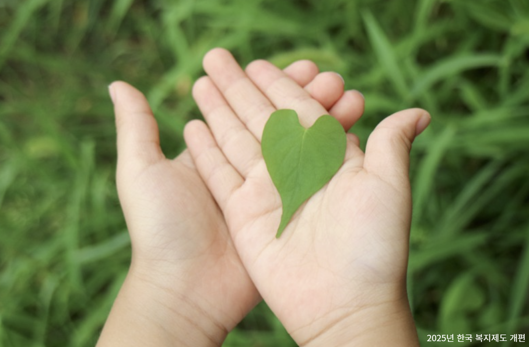 2025년 한국 복지제도 개편 관련 사진