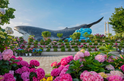 경상권 수국명소 추천 7곳, 여름의 정취를 만끽할 수 있는 곳