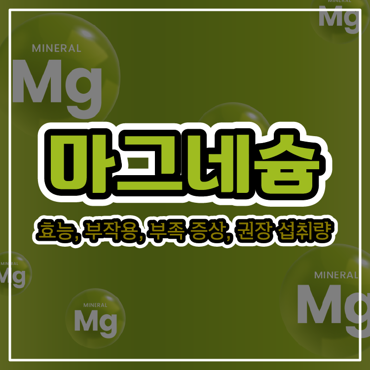 마그네슘 효능, 부작용, 부족 증상, 권장 섭취량
