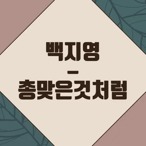 백지영 - 총맞은것처럼