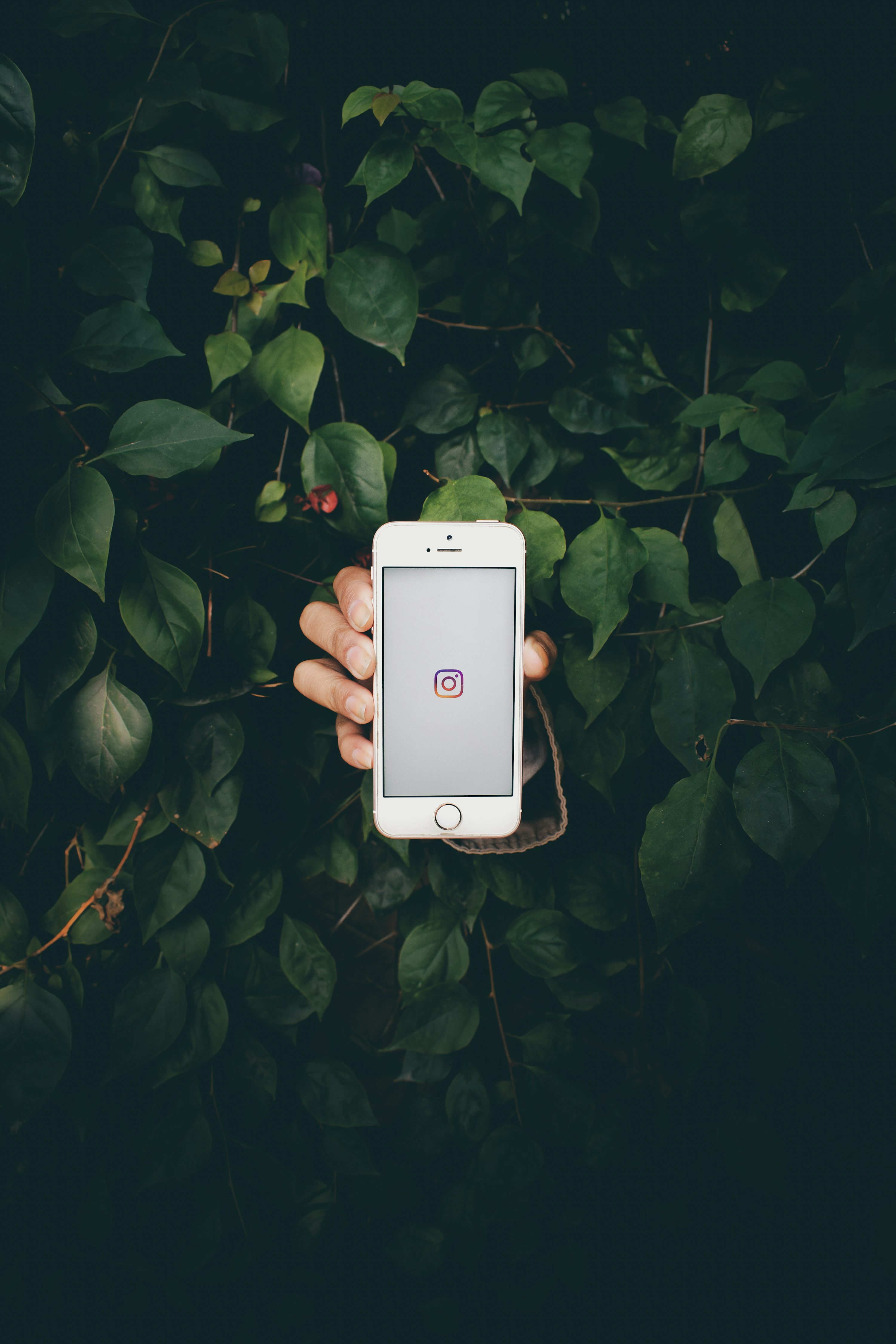 Instagram Reels 관련 이미지