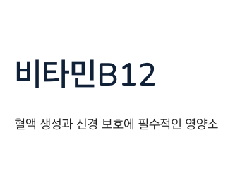 비타민b12 혈액 생성등 정의