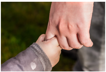 부모와 아이가 함께 배우는 몬테소리 성장기