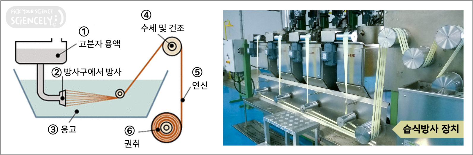 합성섬유 생산 제조 공정 절차, 방사, 용융방사, 습식방사, 건식방사, 고분자 플라스틱 합성수지 용융, 방사구 필라멘트 형성, 응고, 수세 세정, 건조, 오일링 유제처리, 연신 섬유화, 배향 증가 섬유 강도 탄성 증가, 권취 보빈 실 감기