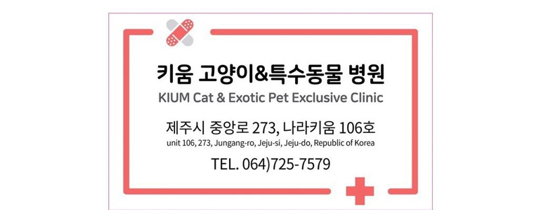 제주 제주시 동물병원