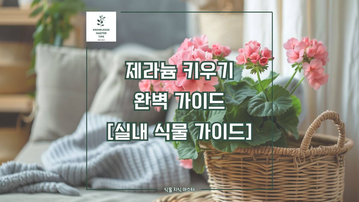 제라늄 키우기, 완벽 가이드 [실내 식물 가이드]