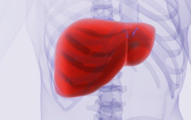 간의-상태를-보여주는-그림