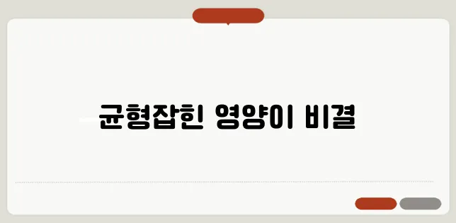 효과적인 운동 루틴을 위한 다이어트 식단 설계해보세요!