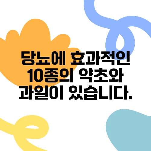 당뇨에 효과적인 10종의 약초와 과일이 있습니다.
