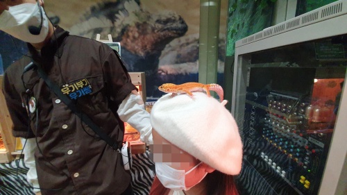 머리위-레오파드게코