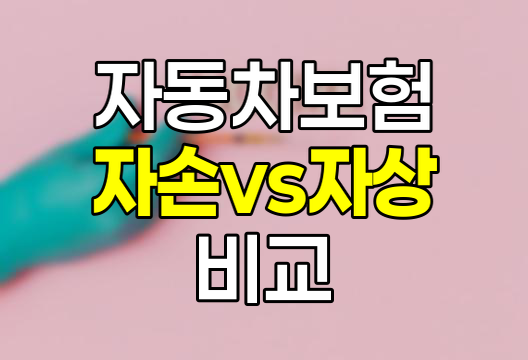 자동차보험 자손 vs 자상, 현명한 선택의 비밀