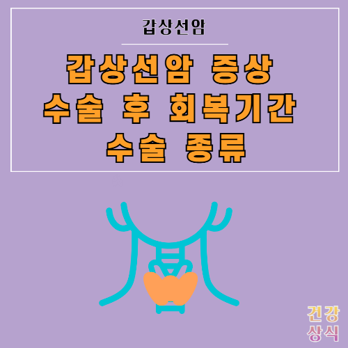갑상선암 증상 수술 후 회복기간 수술 종류