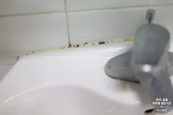 욕실 곰팡이 락스 희석비율과 안전수칙 환기방법_20