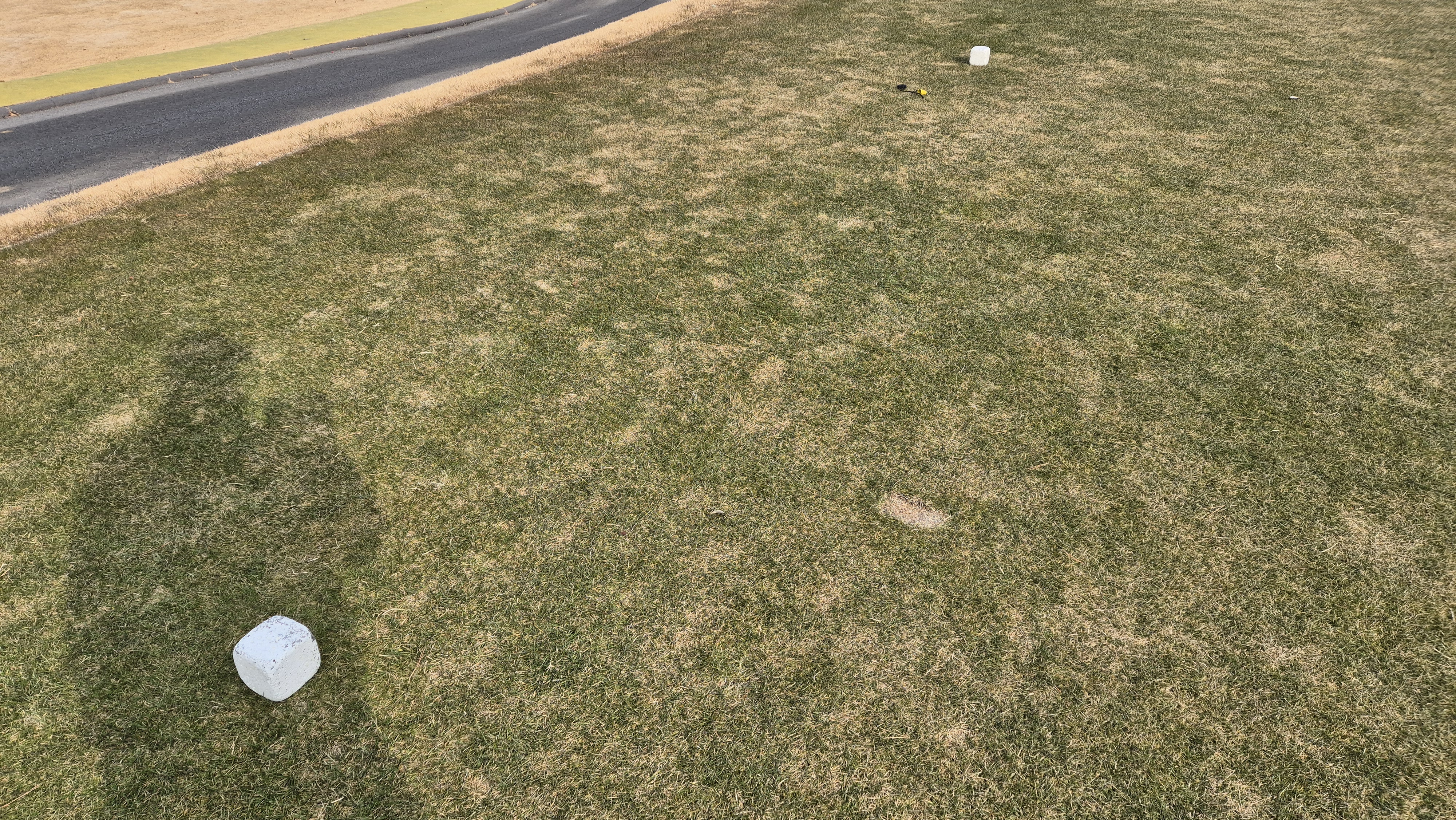 모나크cc 라운드 후기 티잉구역상태