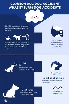 배변 실수 행동 교정법