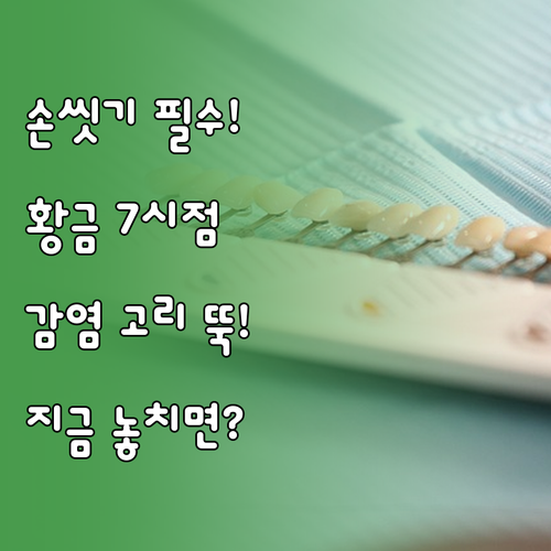 감염 고리를 끊는 손씻기 골든 타임 ..
