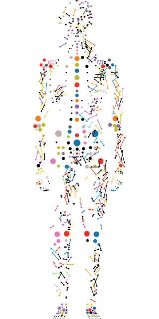AI진료와 인간의사