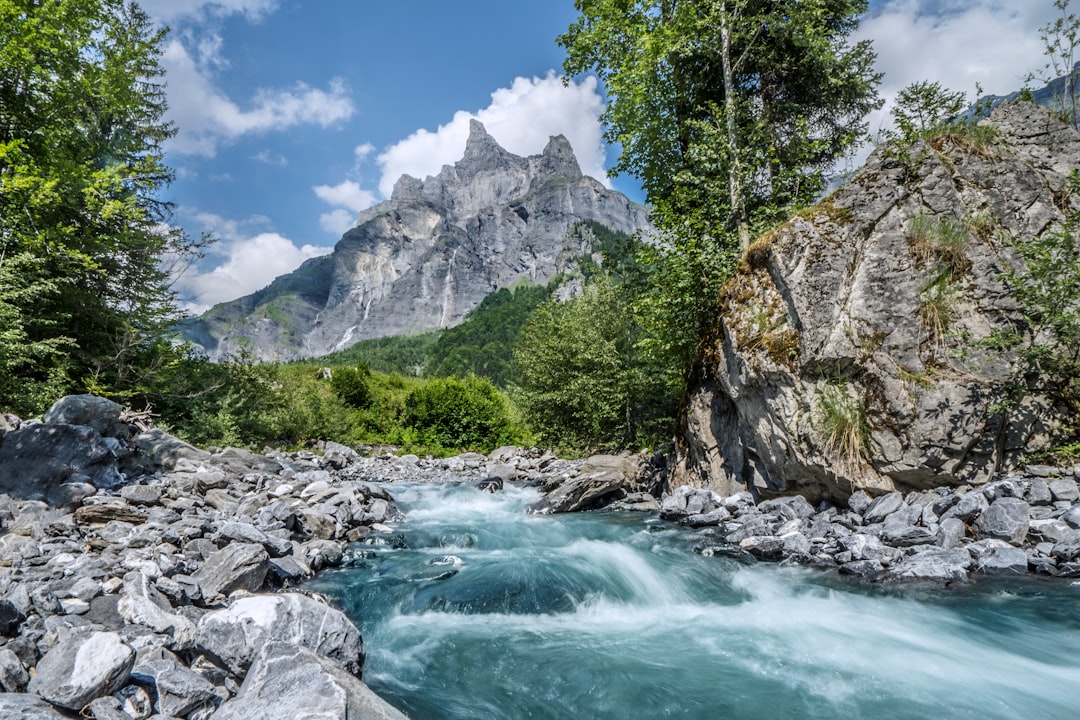 Stream