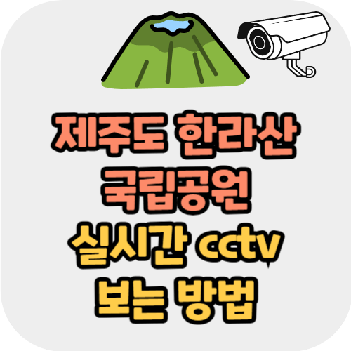 제주도 한라산 국립공원 실시간 cctv 보는 방법