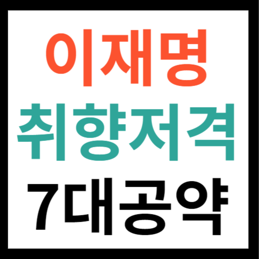 이재명 취향저격 7대공약