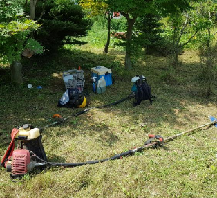 명절 벌초 방법