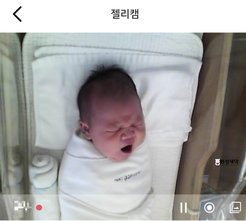 세인트마리-산부인과