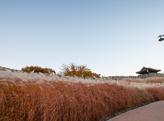 가을나들이 명소 , 억새꽃 명소