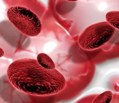 아르기닌-효능-부작용-건강