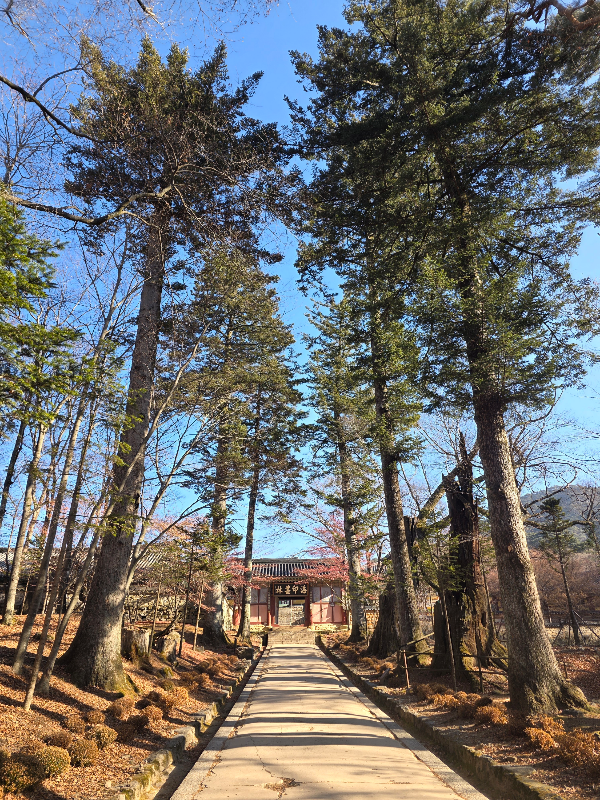 일주문에서 올라가는깅