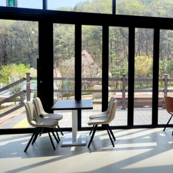 용인 자작나무숲 봄꽃페스티벌