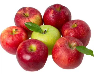 면역력 강화에 좋은 음식 12가지