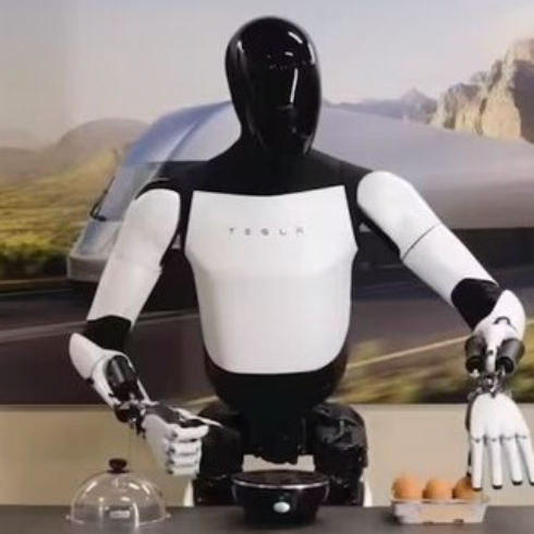 테슬라 옵티머스