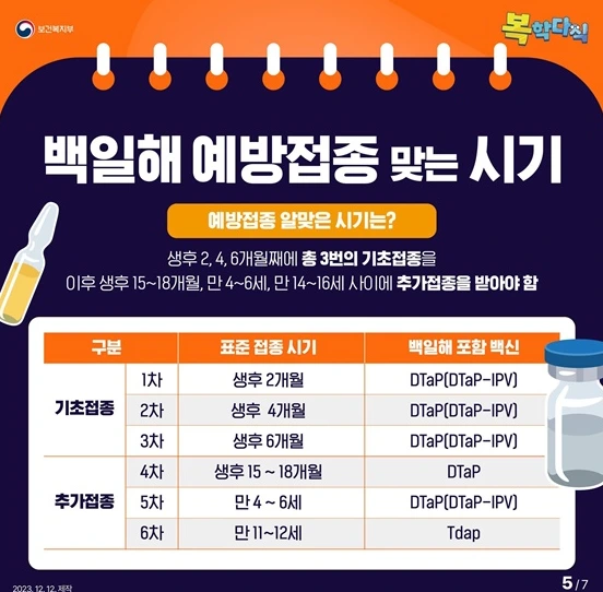 백일해 접종 시기