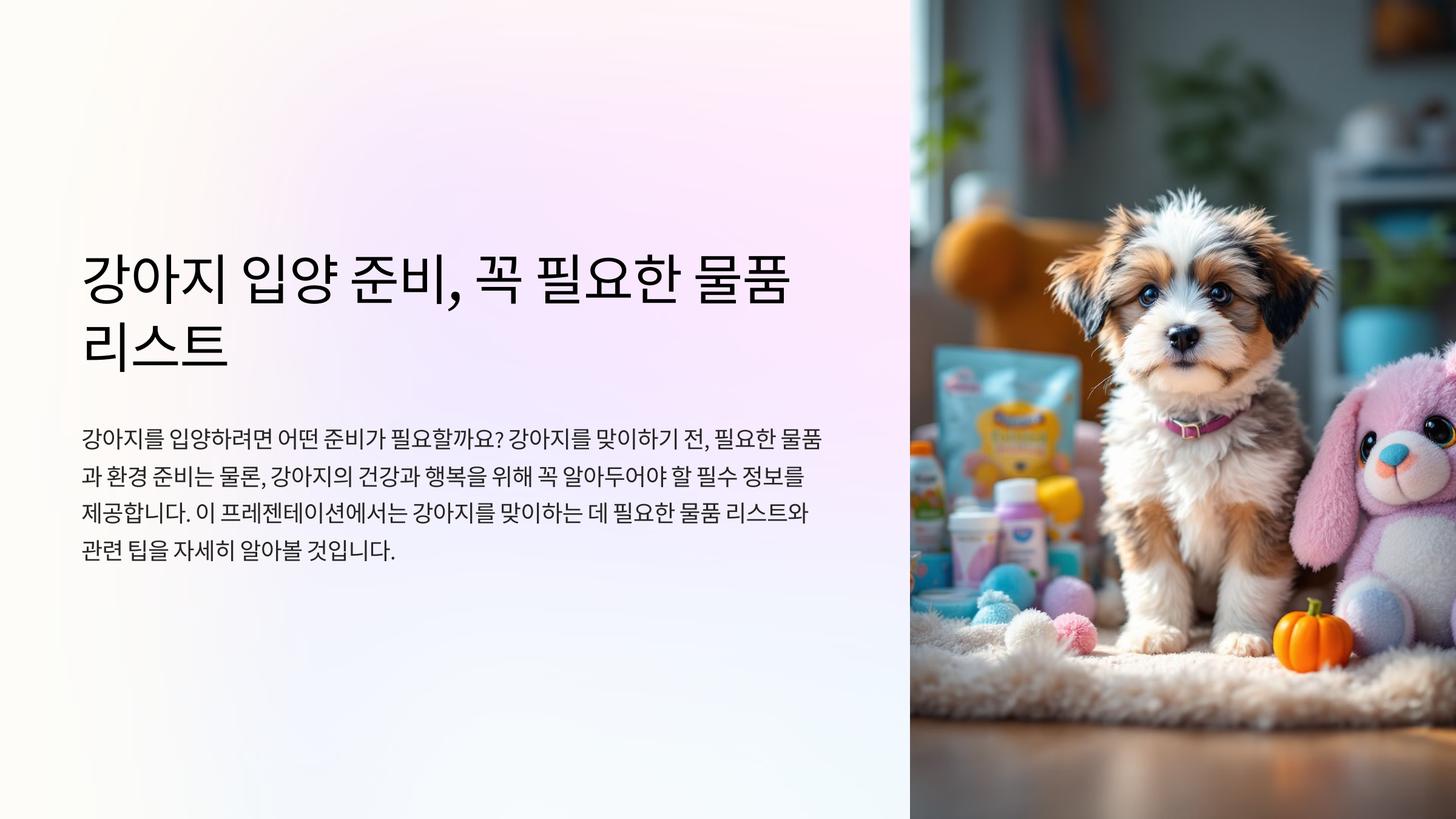 강아지 입양 준비, 꼭 필요한 물품 리스트