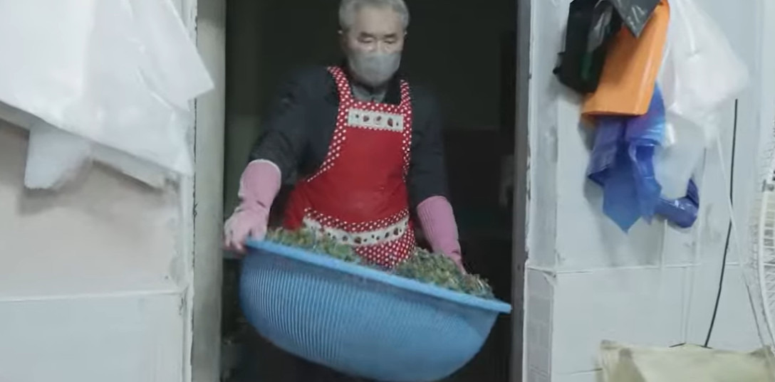 극한직업 50년 전통 쑥떡집