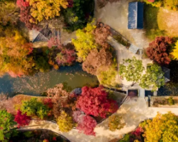 창덕궁후원 단풍