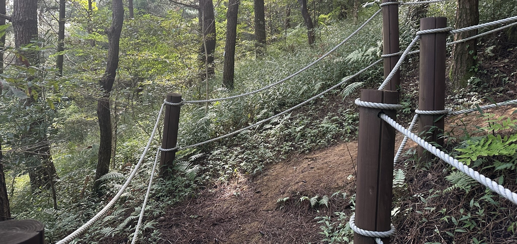산책로