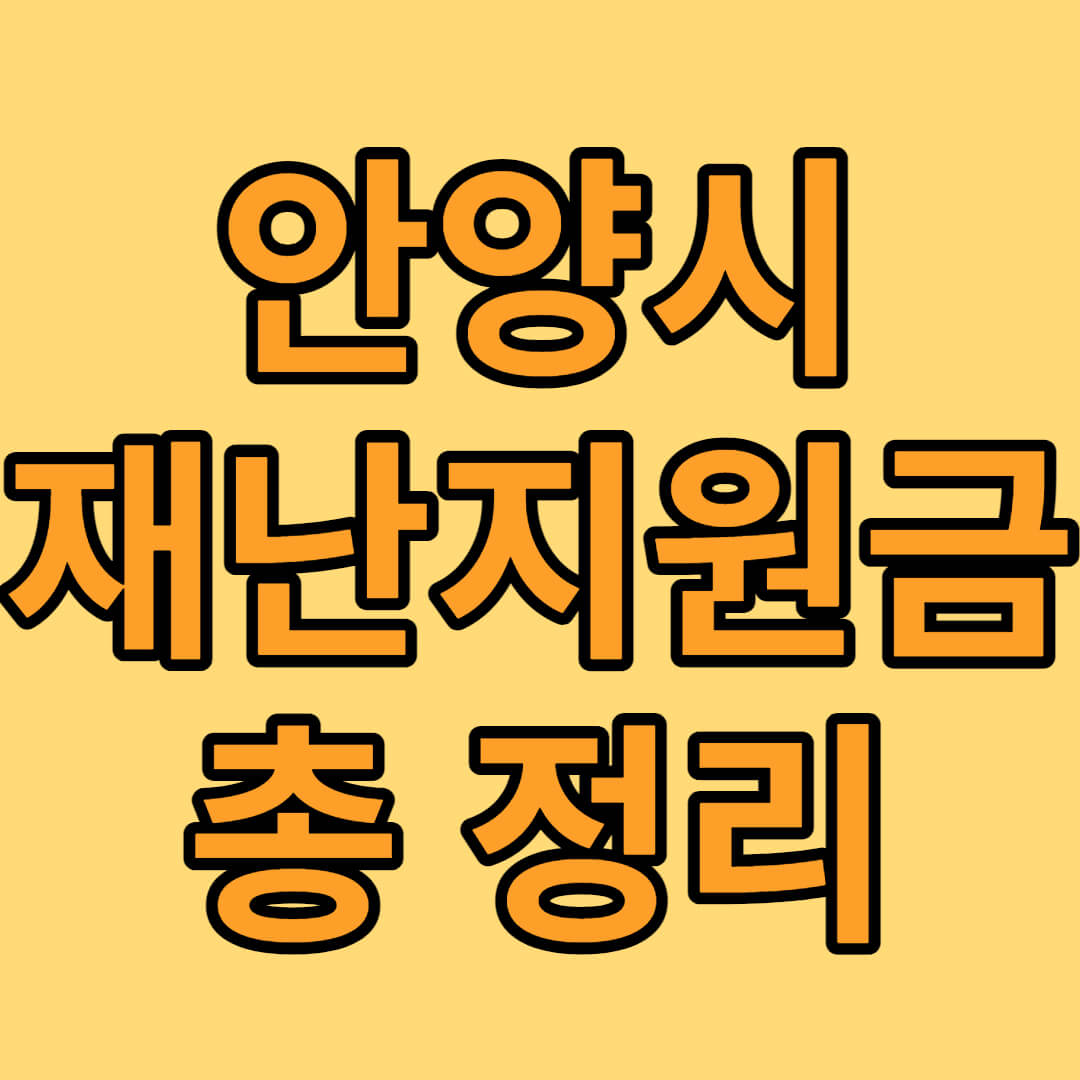 안양시 재난지원금 신청