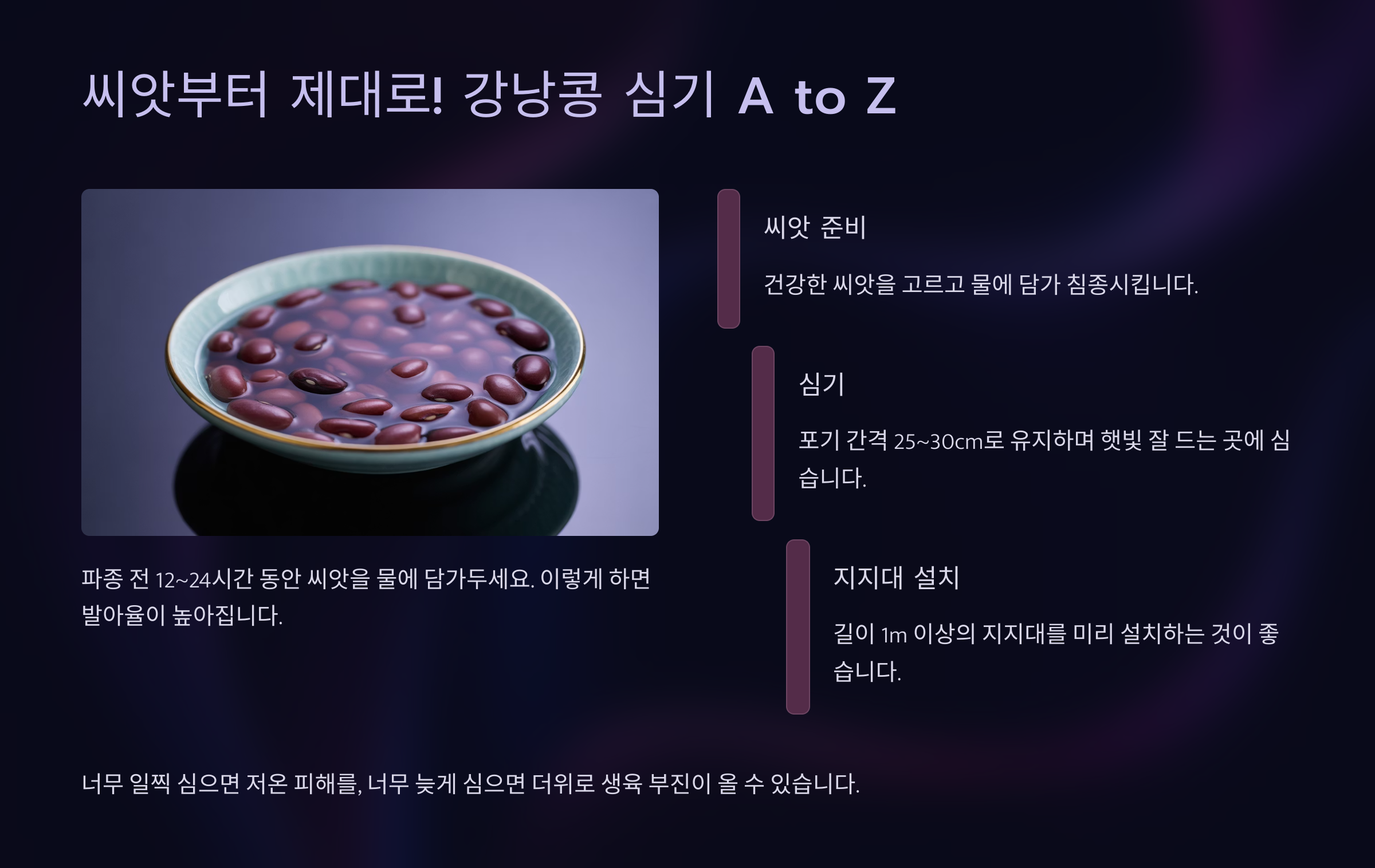 씨앗부터 제대로! 강낭콩 심기 A to Z 🌱