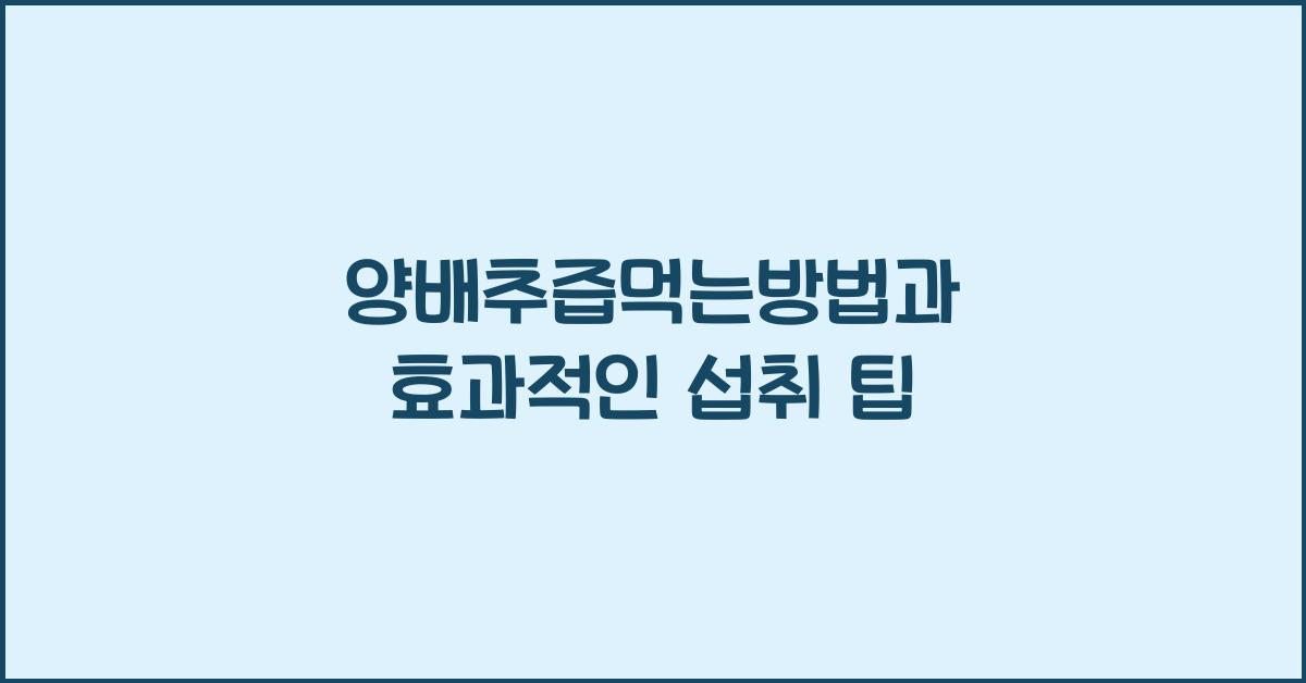 양배추즙먹는방법