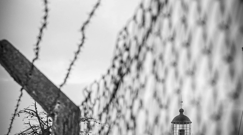 내구성 및 성능 비교