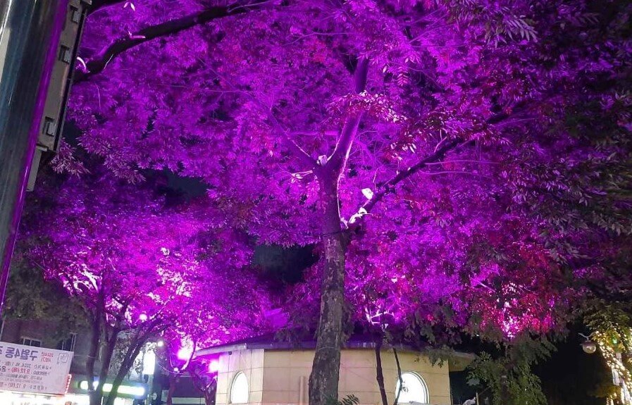 남동 빛의 거리